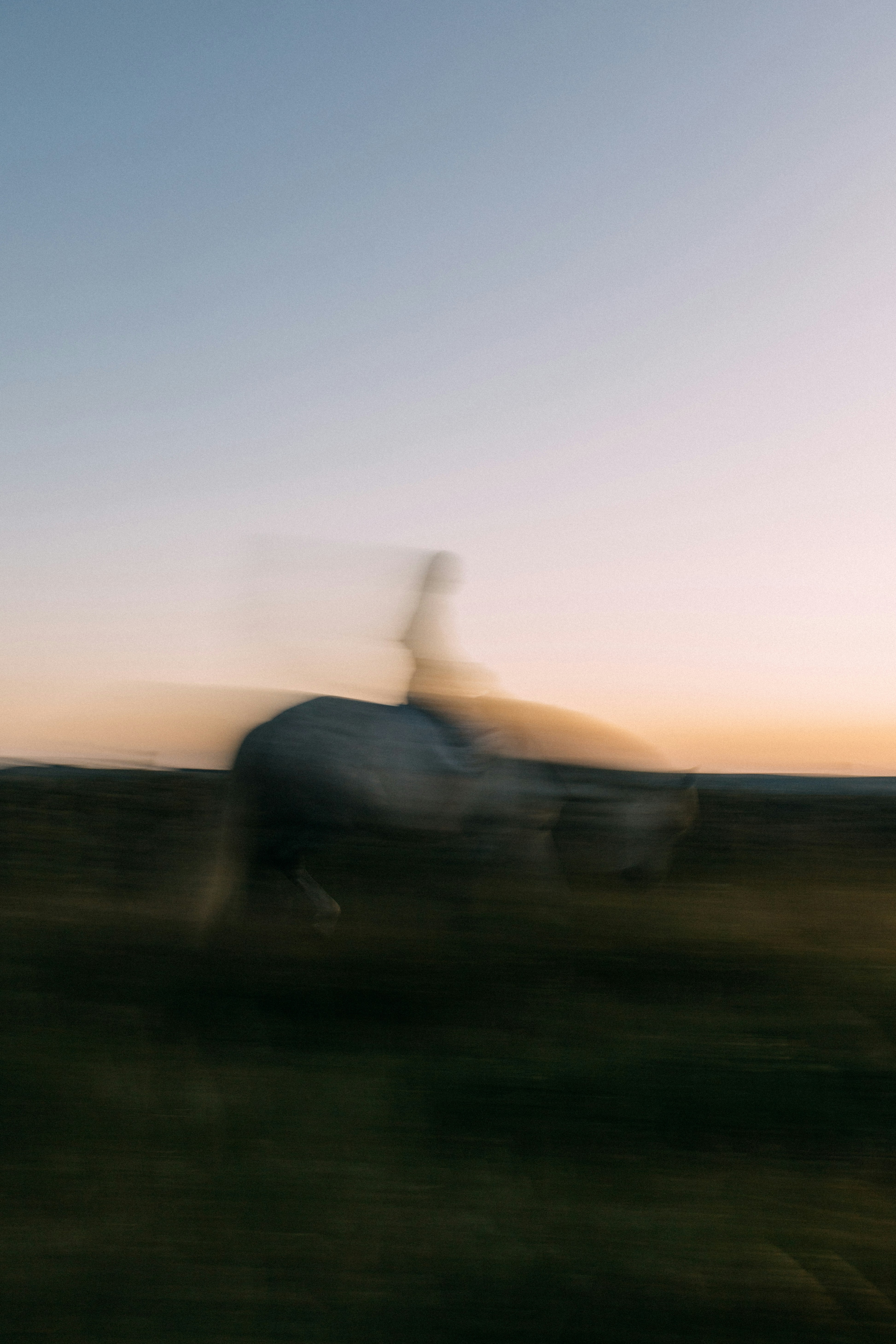Blurry image of a woman riding a horse in sunset