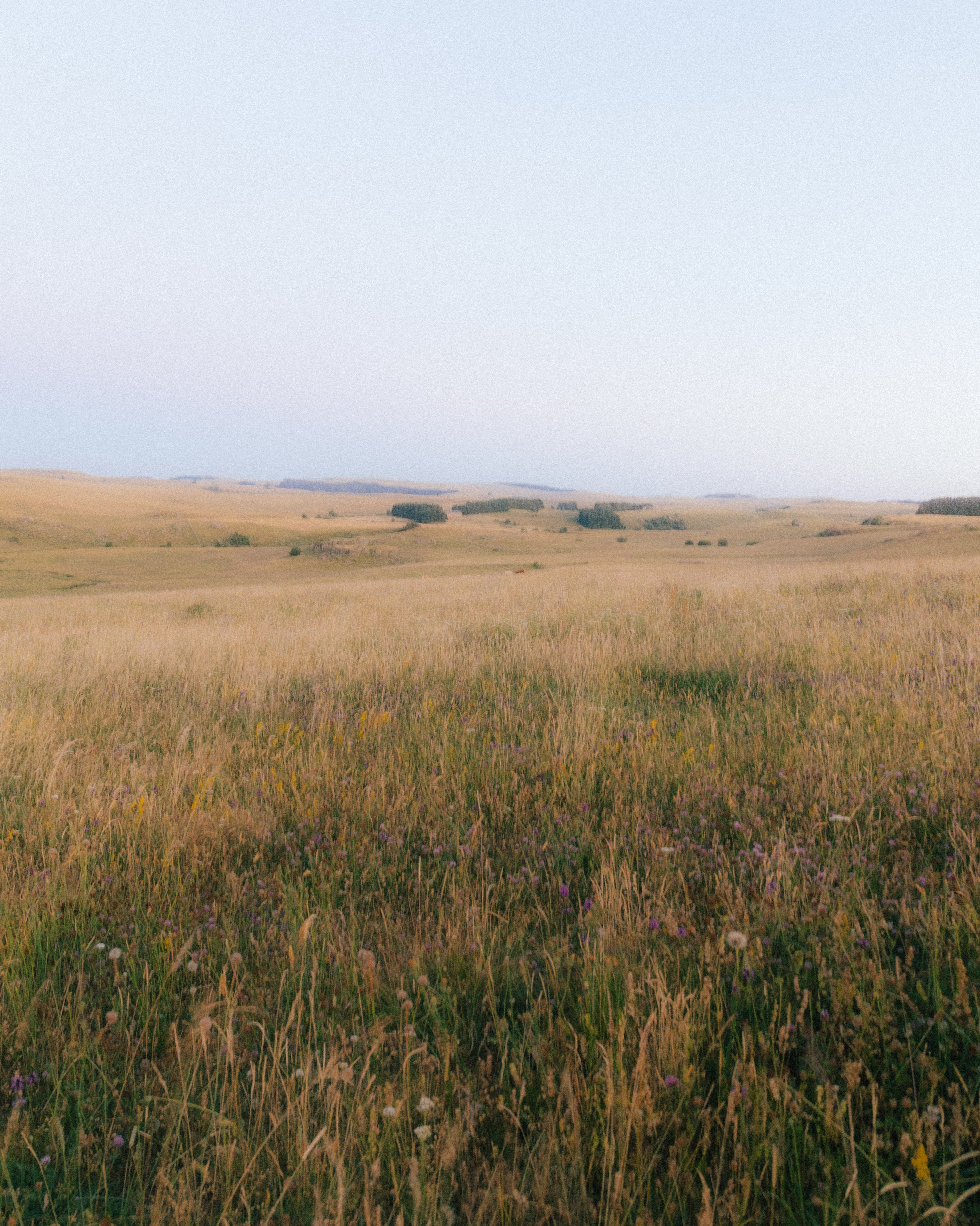Aubrac landscape